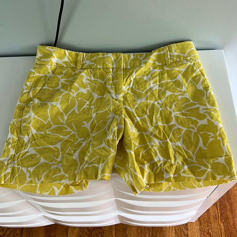 Loft shorts